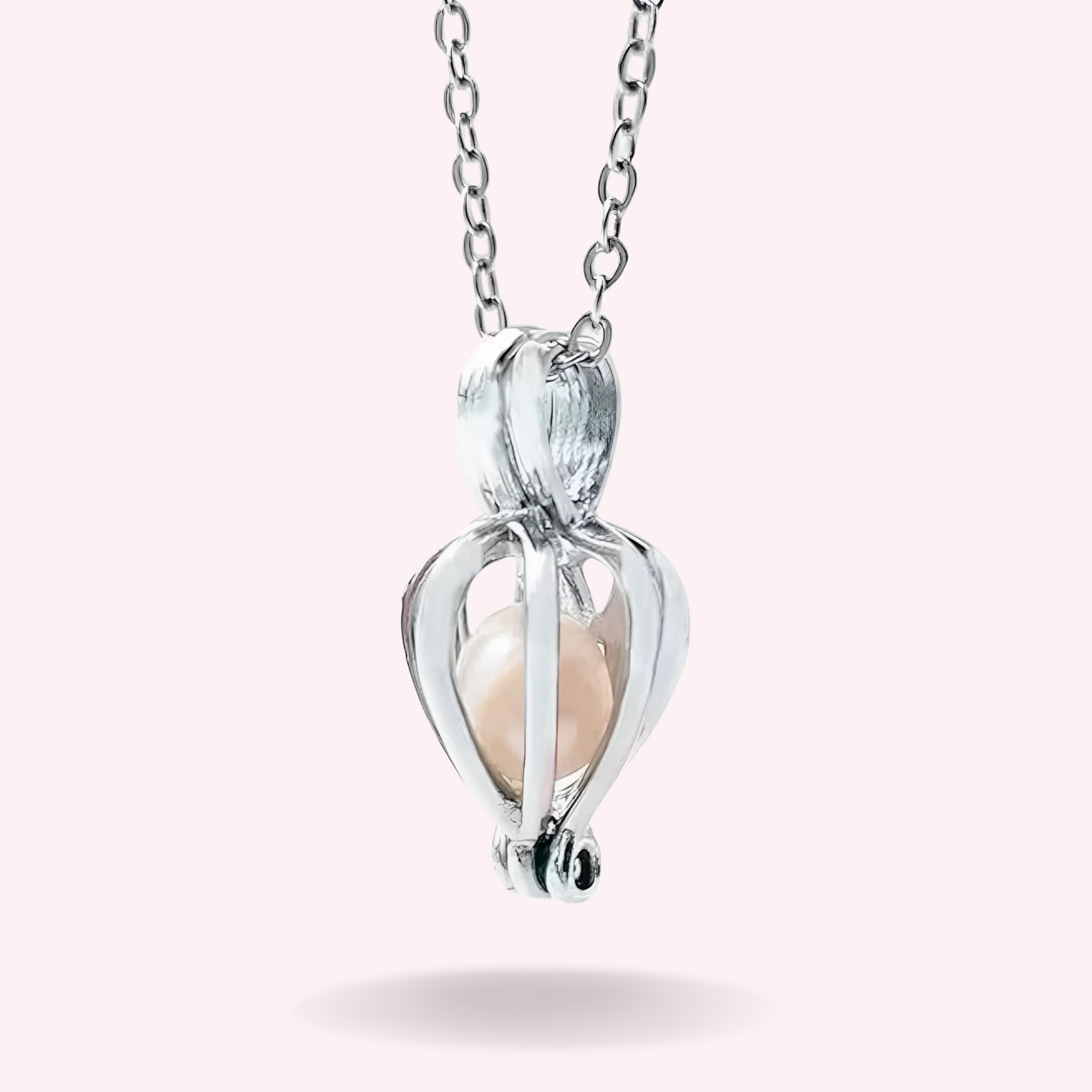 Collar de concha auténtica con perla de los deseos + caja de regalo